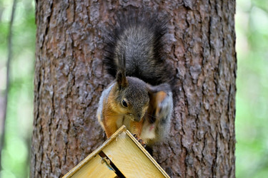 Similar image 22282261