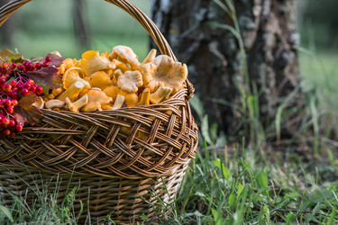 Similar image 22283925