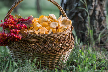 Similar image 22283926