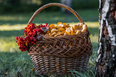 Similar image 22283927