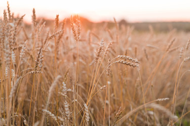 Similar image 22283930