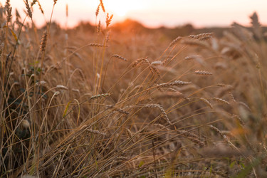 Similar image 22283931