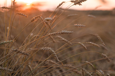 Similar image 22283933