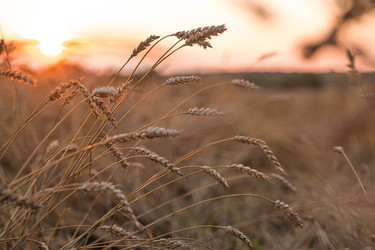 Similar image 22283934