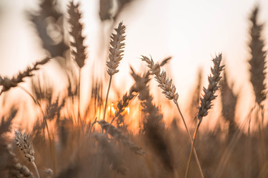 Similar image 22283935