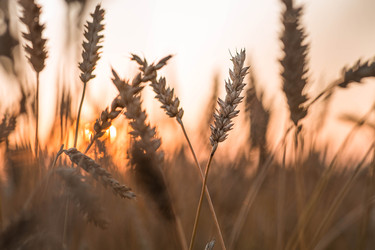 Similar image 22283936