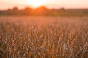 Similar image 22283937