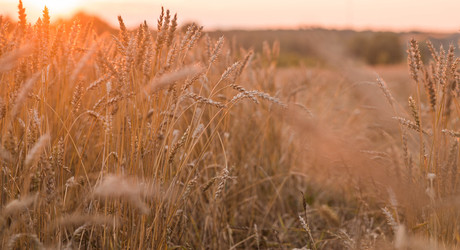 Similar image 22283939