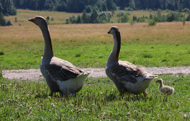 Similar image 22284535