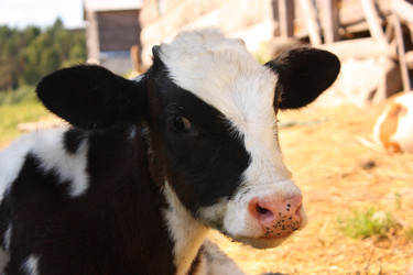 Similar image 22284537