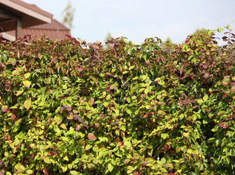 Similar image 22284542