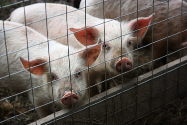 Similar image 22284546