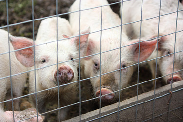 Similar image 22284547