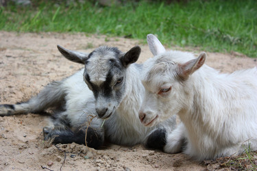 Similar image 22284549