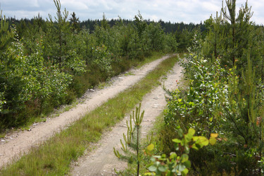 Similar image 22284551