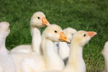 Similar image 22284552