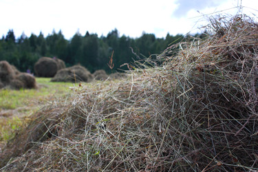 Similar image 22284554