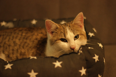 Similar image 22284279