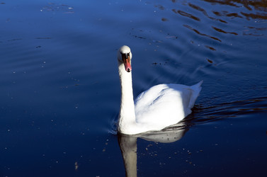 Similar image 22282718