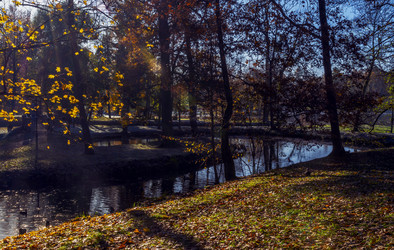 Similar image 22282719