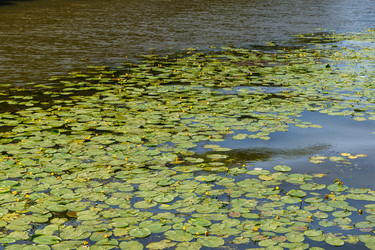 Similar image 22282010