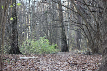 Similar image 22282735