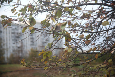 Similar image 22284560