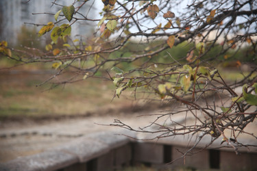 Similar image 22284561