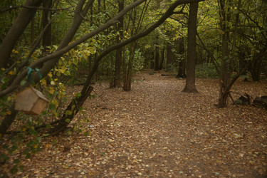 Similar image 22282737