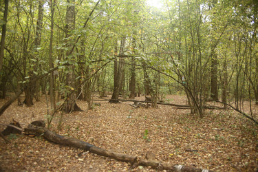 Similar image 22282738