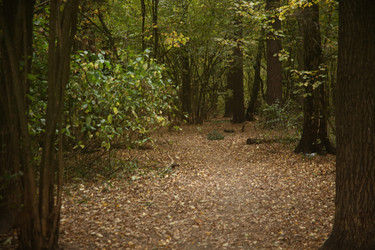 Similar image 22282739