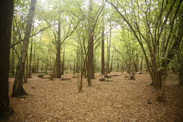 Similar image 22282740