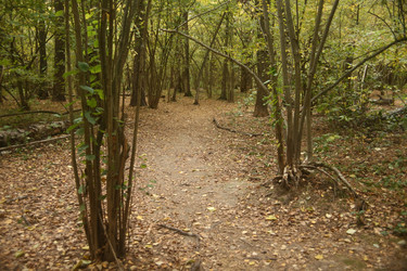 Similar image 22282741