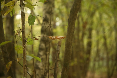 Similar image 22282743