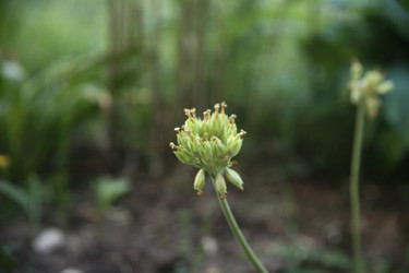 Similar image 22284562