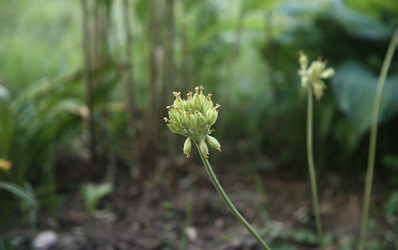 Similar image 22284563