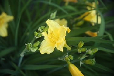 Similar image 22284564