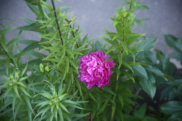 Similar image 22284566