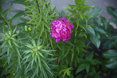 Similar image 22284567