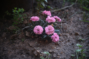 Similar image 22284568