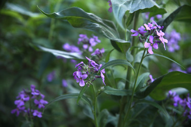 Similar image 22284570