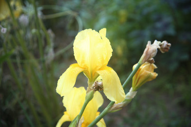 Similar image 22284572