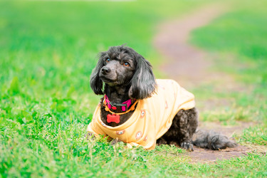 Similar image 22282744