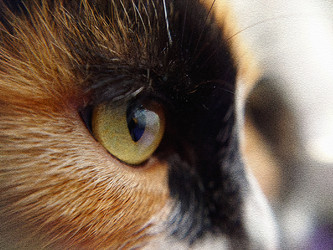 Similar image 22283560