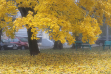 Similar image 22289130