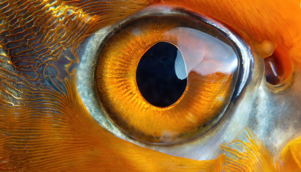 Similar image 22282533