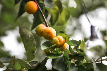 Similar image 22283946