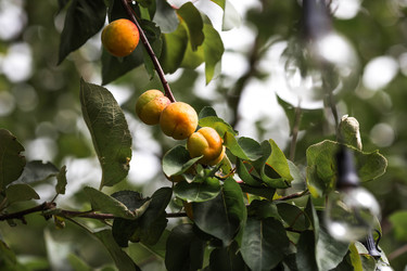 Similar image 22283947