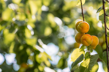 Similar image 22283949