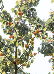 Similar image 22283951